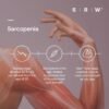 SRW Msc¹ Tone Muscular System Tone | 30 Sachets