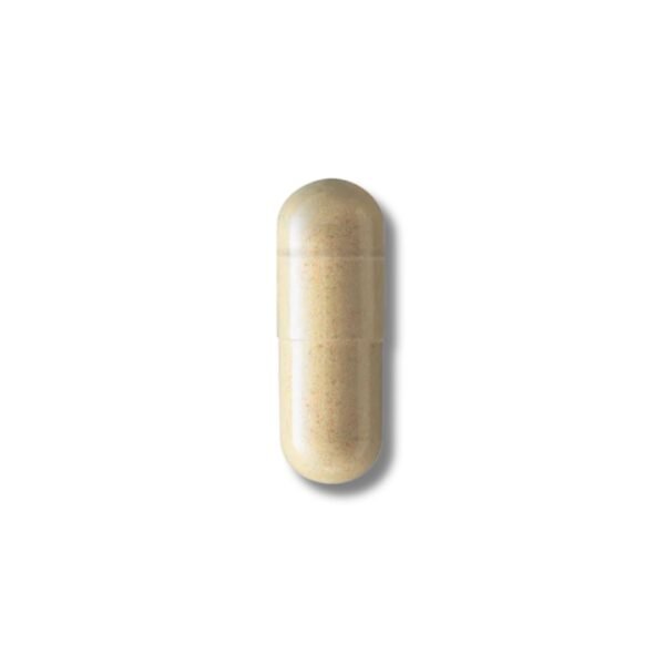 SRW Cel1 Delayed Release Capsule SRW Cel1 delayed-release vegetable capsule