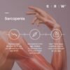 SRW MSC1 Tone muscle support infographic about maintaining muscle mass and strength with age